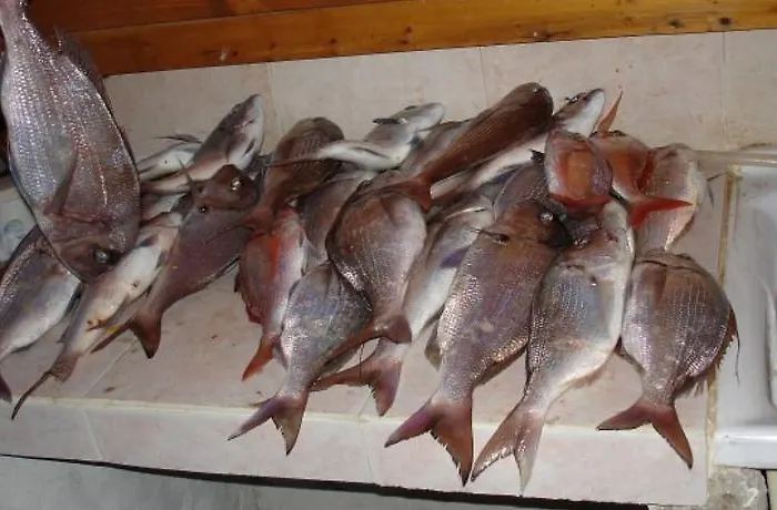 Blue Bab B&B Lampedusa